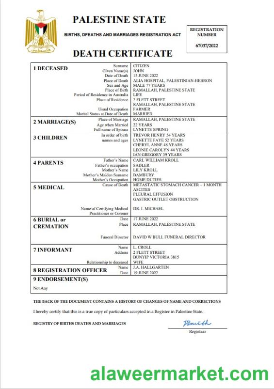 Palestine vital record death certificate Word and PDF template